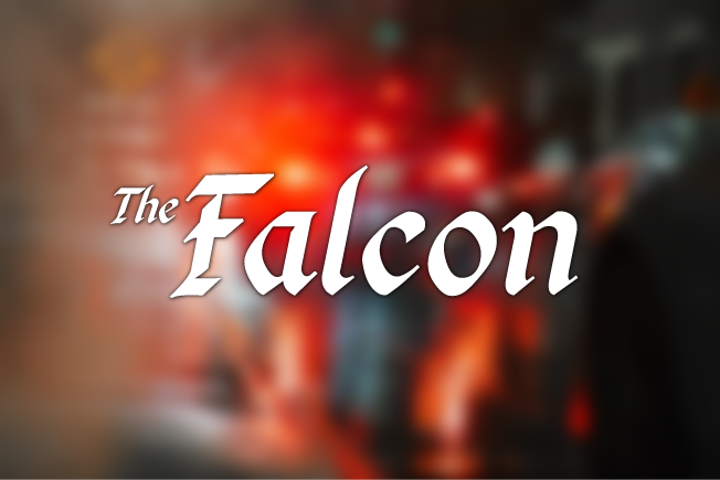 The Return of The Falcon