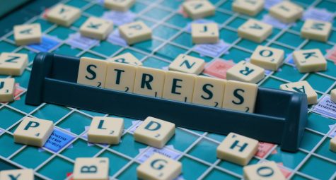 As College Deadlines Approach, Seniors Say Homework is Increasing