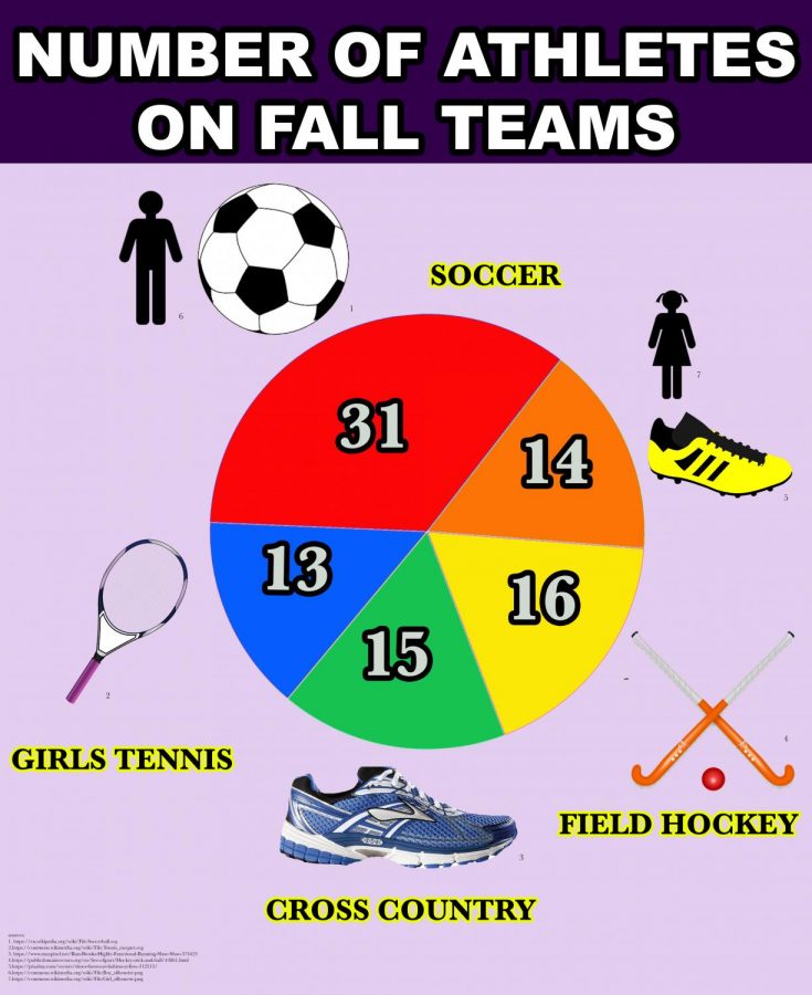 Fall Sports by the Numbers