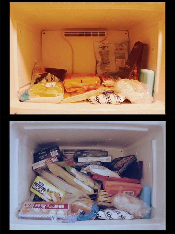 The refrigerator used to contain only a few frozen foods; now we store a lot of food and go grocery shopping less often. 