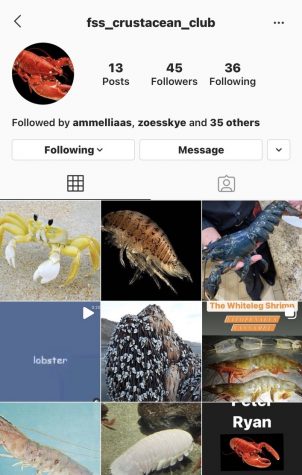 Crustacean Club: FSS’s New Love for 🦞🦞🦞