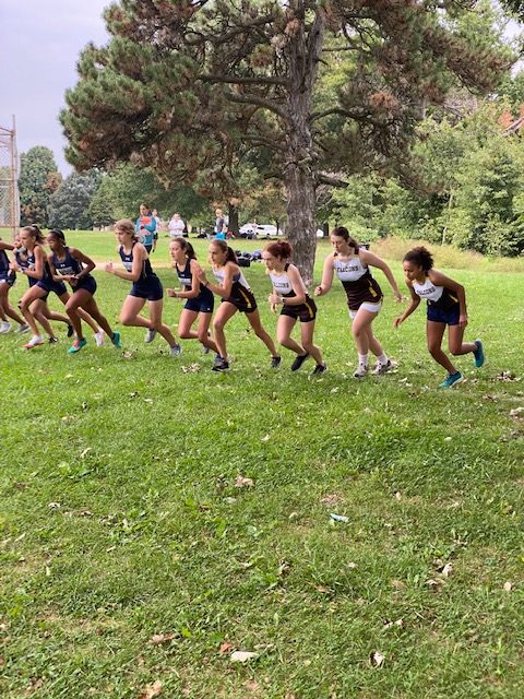 Fall Cross Country.  Photograph courtesy of FSS Flickr.