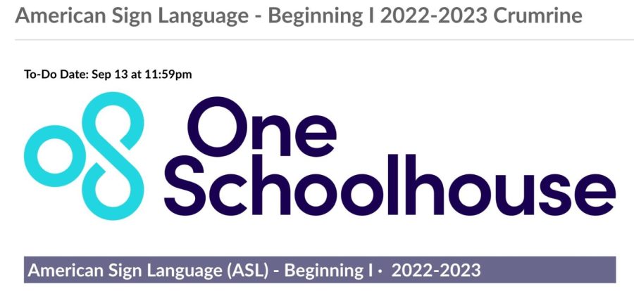 Understanding+the+Online+Language+Classes%C2%A0