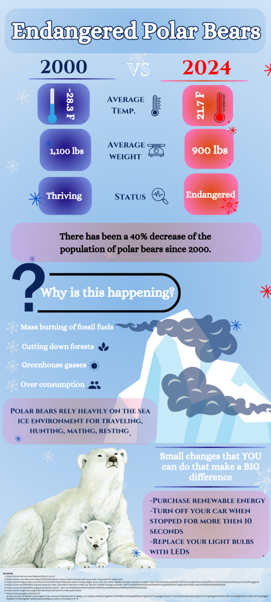 Did You Know This About Endangered Polar Bears?