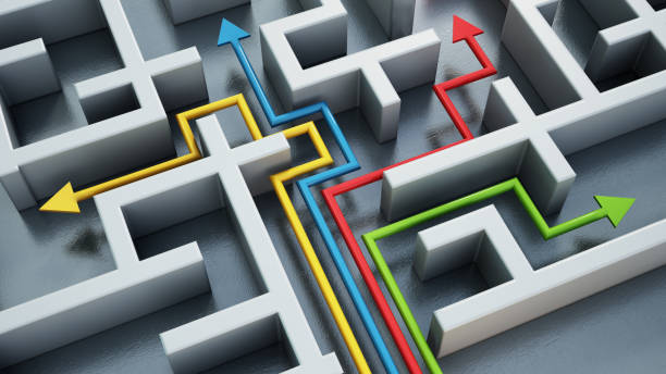 How Do Cognitive Biases and Social Pressures Influence Our Decisions?