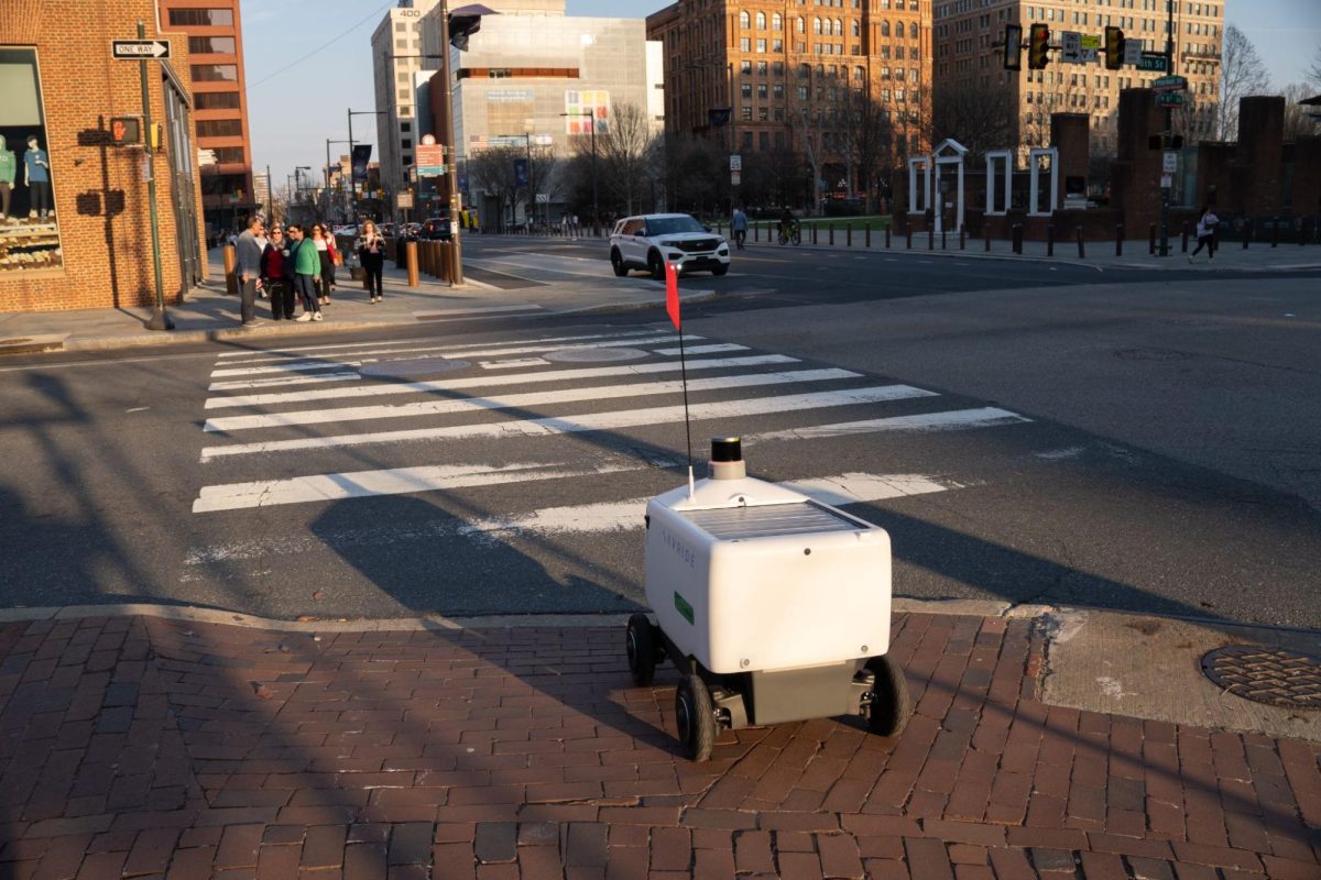 Food Delivery Robots: A Blessing or a Curse?